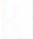 Столбец 26: фрагмент оригинального протокола