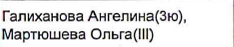 Состав связки: фрагмент оригинального протокола