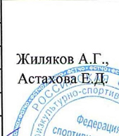 представитель: фрагмент оригинального протокола