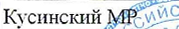 Муниципальное образование: фрагмент оригинального протокола