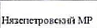 Муниципальное образование: фрагмент оригинального протокола
