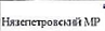 Муниципальное образование: фрагмент оригинального протокола
