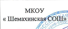 команда: фрагмент оригинального протокола