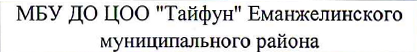 команда: фрагмент оригинального протокола