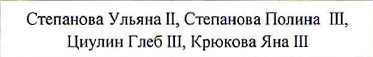 Состав команды: фрагмент оригинального протокола