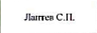 представитель: фрагмент оригинального протокола