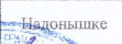 Команда: фрагмент оригинального протокола