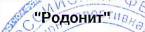 Команда: фрагмент оригинального протокола