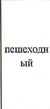 Вид туризма: фрагмент оригинального протокола