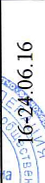 Сроки: фрагмент оригинального протокола