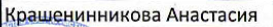 участник: фрагмент оригинального протокола