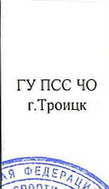 г.Челябинск: фрагмент оригинального протокола