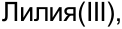 Неподтверждённое слово из оригинала