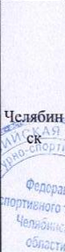 Столбец 5: фрагмент оригинального протокола