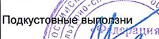 Группа: фрагмент оригинального протокола