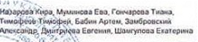 Состав команды: фрагмент оригинального протокола