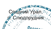 Район путешествия: фрагмент оригинального протокола