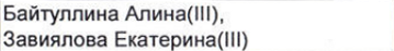 Состав связки: фрагмент оригинального протокола