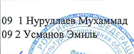 состав связки: фрагмент оригинального протокола