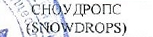 Команда: фрагмент оригинального протокола