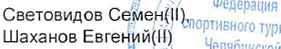 Состав связки: фрагмент оригинального протокола