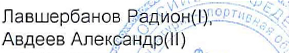 Состав связки: фрагмент оригинального протокола