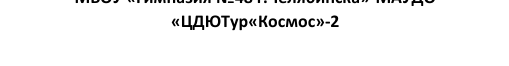 Команда: фрагмент оригинального протокола