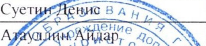 | Ф. И. участника: фрагмент оригинального протокола