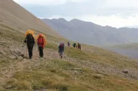 ПОДРОБНЕЕ