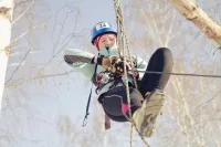 10-12 февраля 2012 года в г. Миассе прошло Открытое Первенство Миасского городского округа среди обучающихся по спортивному туризму на лыжных дистанциях и по поисково-спасательным работам «Кубок Максима» в 2011-2012 учебном году