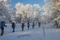 В Челябинске проходят региональный этап Всероссийского конкурса походов и Первенство по маршрутам