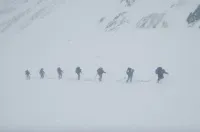 Скачать документы можно здесь