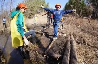Подведены итоги областных соревнований по спортивному туризму на пешеходных дистанциях «Переправы – 2016»