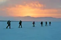 ПОДРОБНЕЕ