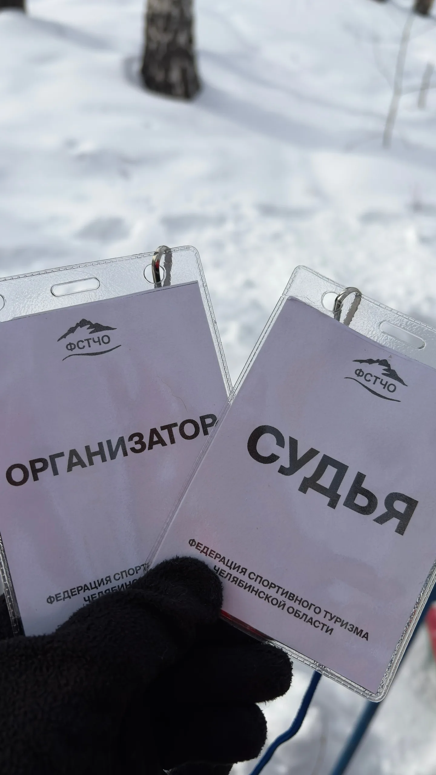 Соревнования по северной ходьбе Подснежники
