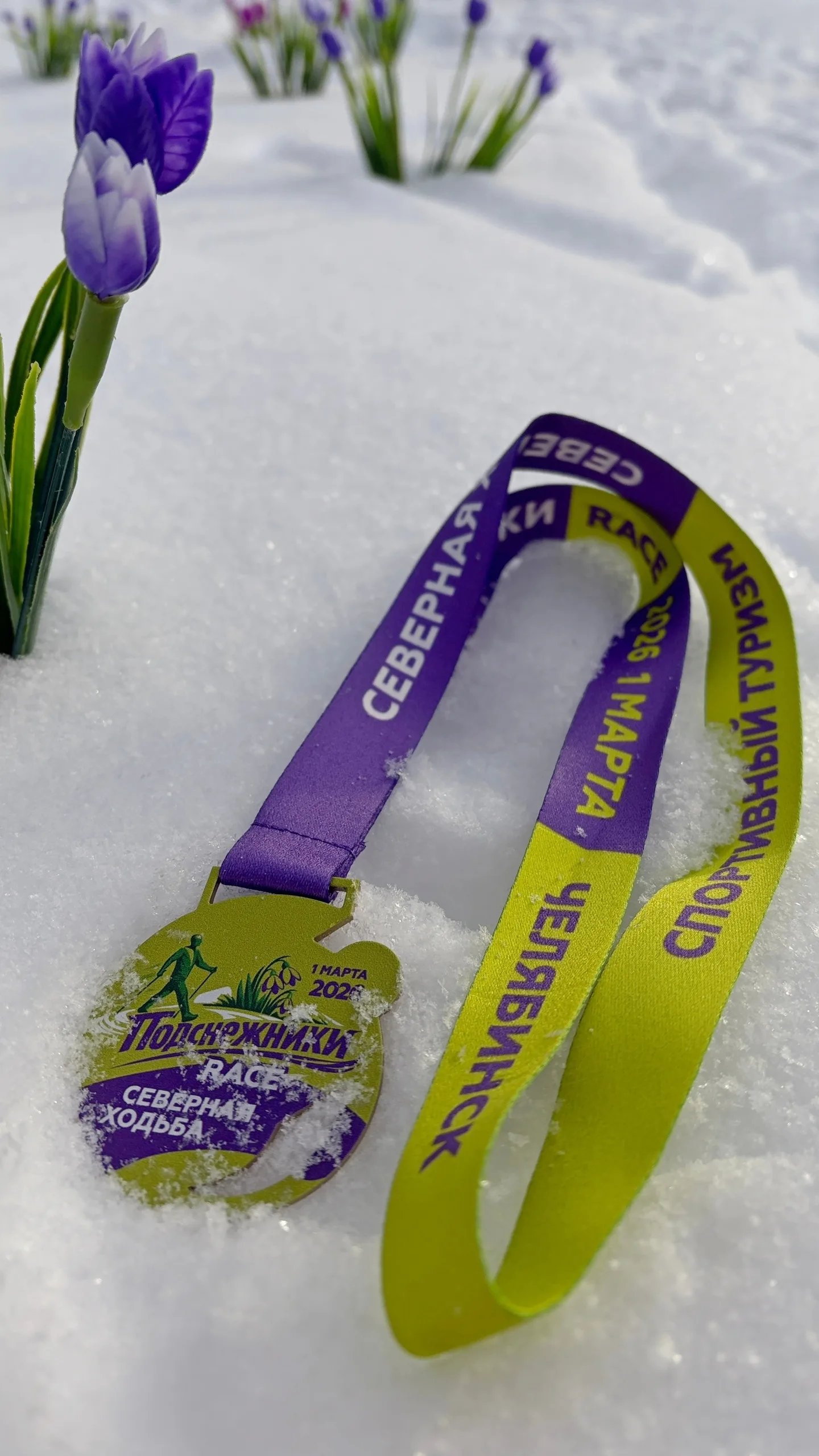 Соревнования по северной ходьбе Подснежники